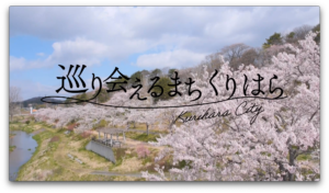 sub2 | SHIFT+LOCAL（シフトローカル）